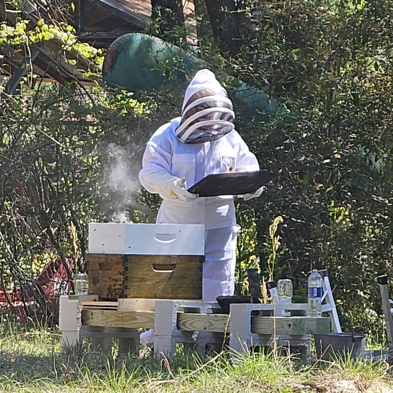 cb beekeeping